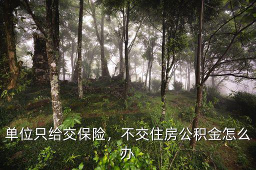 單位只給交保險(xiǎn)，不交住房公積金怎么辦
