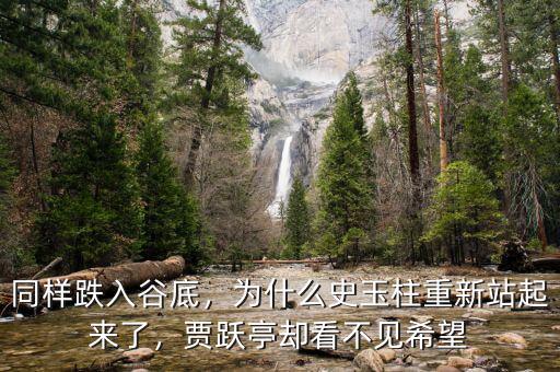 同樣跌入谷底，為什么史玉柱重新站起來了，賈躍亭卻看不見希望