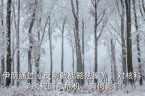 伊朗通過《反制裁戰(zhàn)略法案》，對核科學家被暗殺危機，有何影響