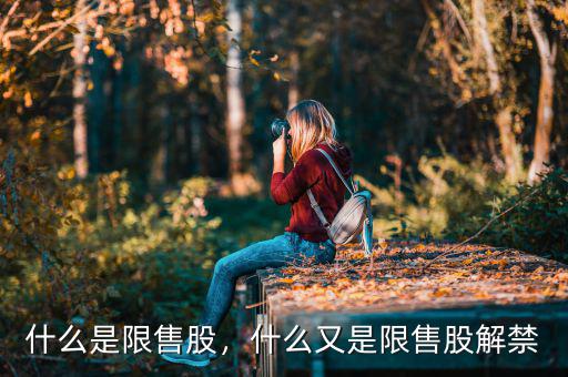 什么是限售股，什么又是限售股解禁
