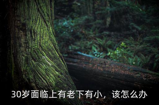 30歲面臨上有老下有小，該怎么辦