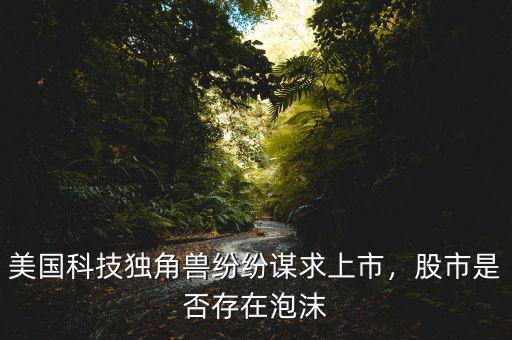 美國(guó)科技獨(dú)角獸紛紛謀求上市，股市是否存在泡沫