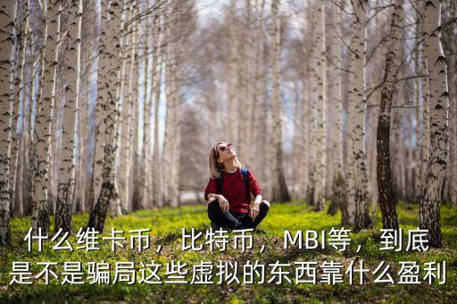 什么維卡幣，比特幣，MBI等，到底是不是騙局這些虛擬的東西靠什么盈利