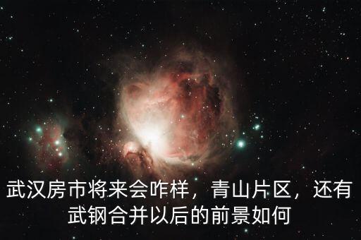 武漢房市將來會咋樣，青山片區(qū)，還有武鋼合并以后的前景如何