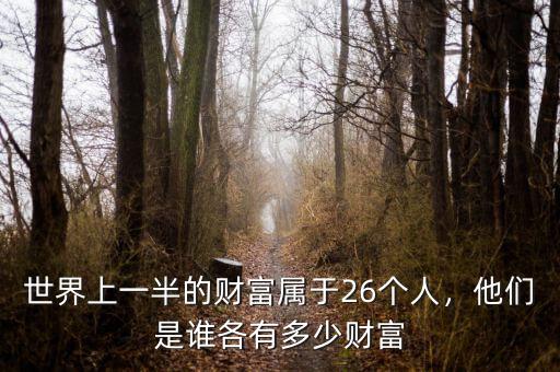 世界上有多少財富,各有多少財富