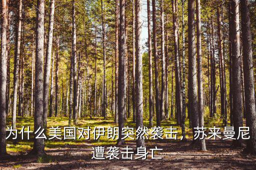 為什么美國對伊朗突然襲擊，蘇來曼尼遭襲擊身亡