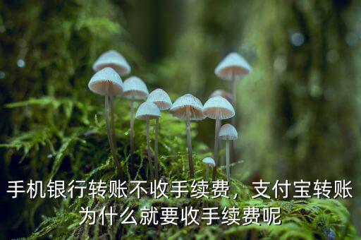 支付寶轉(zhuǎn)賬為什么收費(fèi),通過(guò)網(wǎng)銀轉(zhuǎn)錢到支付寶
