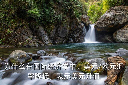 為什么在國(guó)際經(jīng)濟(jì)學(xué)中，美元/歐元匯率降低，表示美元升值