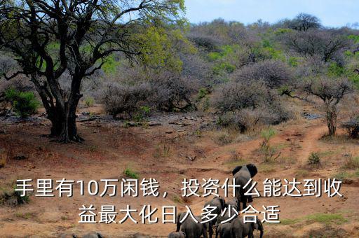 手里有10萬閑錢，投資什么能達(dá)到收益最大化日入多少合適