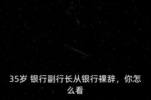銀行副行長(zhǎng)做什么,從銀行行長(zhǎng)離崗后適合做什么