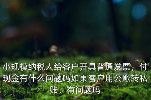 小規(guī)模納稅人給客戶開具普通發(fā)票，付現(xiàn)金有什么問題嗎如果客戶用公賬轉(zhuǎn)私賬，有問題嗎