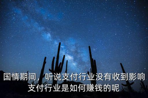 國情期間，聽說支付行業(yè)沒有收到影響支付行業(yè)是如何賺錢的呢