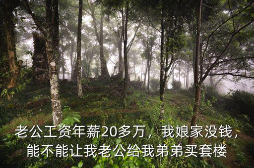 老公工資年薪20多萬(wàn)，我娘家沒(méi)錢，能不能讓我老公給我弟弟買套樓