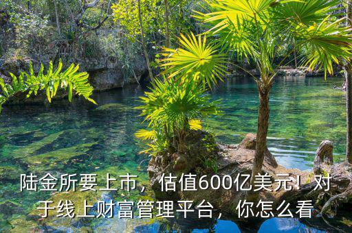 陸金所要上市，估值600億美元！對于線上財(cái)富管理平臺，你怎么看