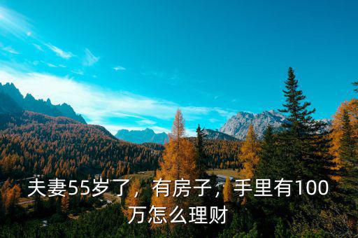 夫妻55歲了，有房子，手里有100萬怎么理財(cái)