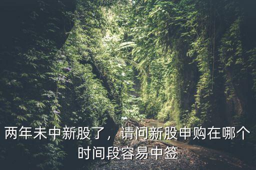 兩年未中新股了，請問新股申購在哪個時間段容易中簽