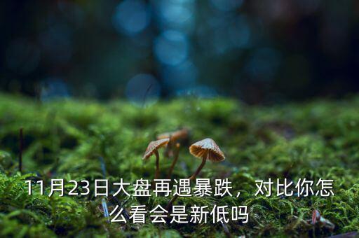 11月23日大盤再遇暴跌，對比你怎么看會是新低嗎