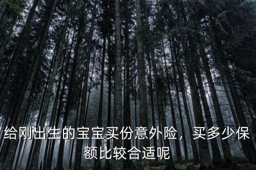 給剛出生的寶寶買份意外險，買多少保額比較合適呢