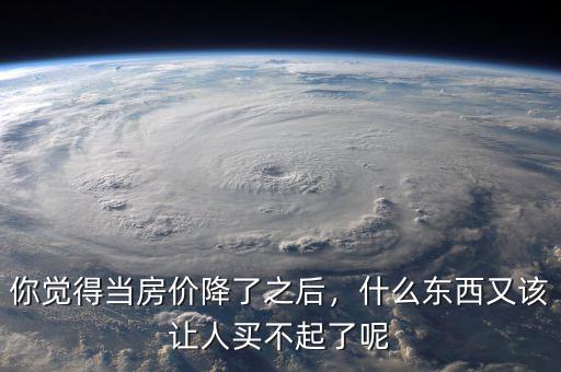 你覺得當(dāng)房價降了之后，什么東西又該讓人買不起了呢