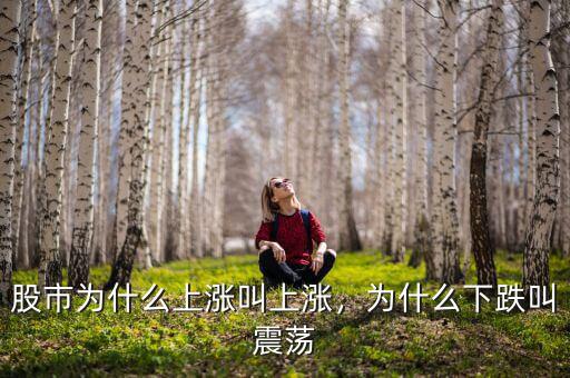 股市為什么上漲叫上漲，為什么下跌叫震蕩
