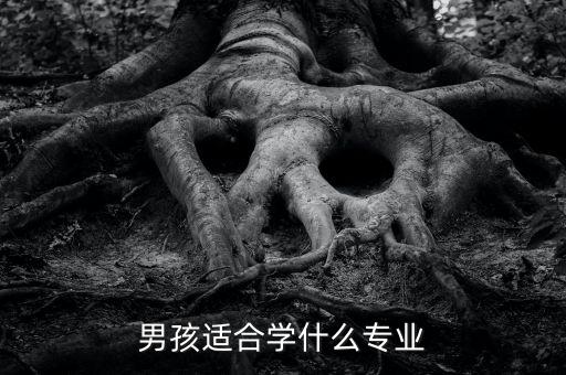 張旭豪學什么專業(yè),學什么專業(yè)好