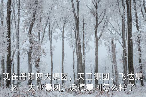 現(xiàn)在丹陽四大集團，天工集團、飛達集團、大亞集團、沃德集團怎么樣了