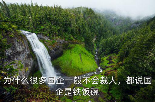 為什么很多國企一般不會(huì)裁人，都說國企是鐵飯碗