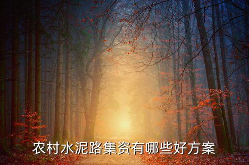 集資干什么好呢,農(nóng)村水泥路集資有哪些好方案