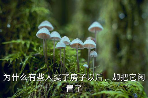 為什么保障房閑置,卻把它閑置了