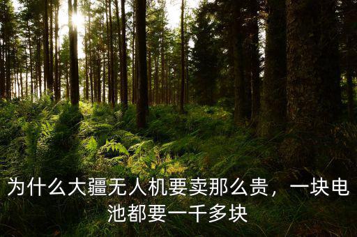 為什么大疆無人機要賣那么貴，一塊電池都要一千多塊