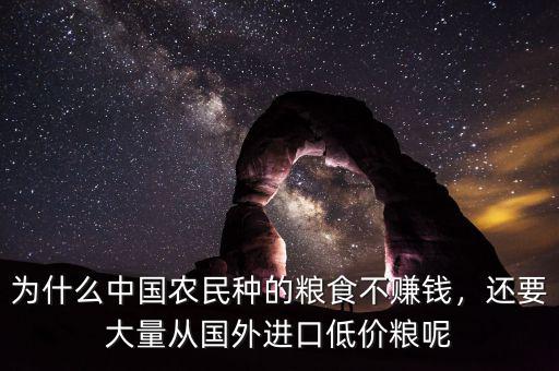 為什么中國農(nóng)民種的糧食不賺錢，還要大量從國外進(jìn)口低價(jià)糧呢