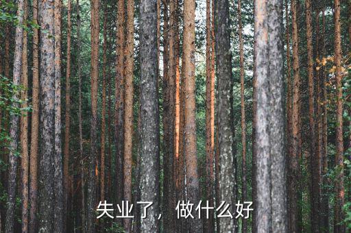 失業(yè)了，做什么好