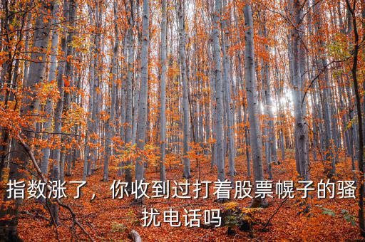 指數(shù)漲了，你收到過打著股票幌子的騷擾電話嗎