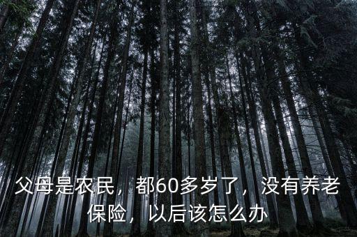 父母是農(nóng)民，都60多歲了，沒有養(yǎng)老保險，以后該怎么辦