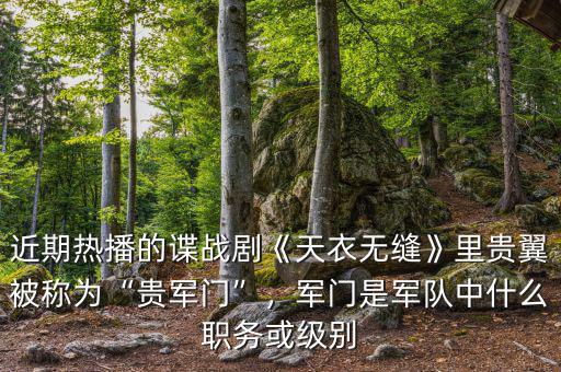 近期熱播的諜戰(zhàn)劇《天衣無縫》里貴翼被稱為“貴軍門”，軍門是軍隊(duì)中什么職務(wù)或級(jí)別