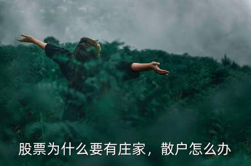 股票為什么要有莊家，散戶怎么辦