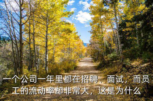 一個公司一年里都在招聘、面試，而員工的流動率卻非常大，這是為什么