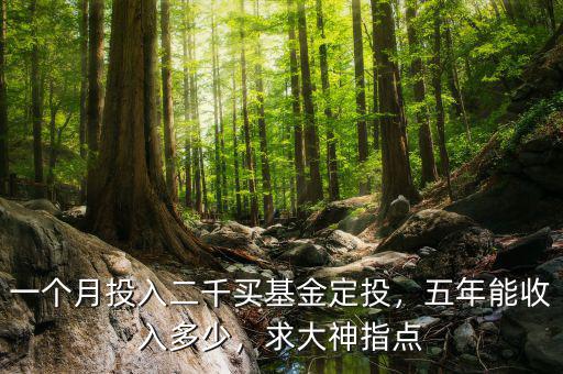 一個月投入二千買基金定投，五年能收入多少，求大神指點