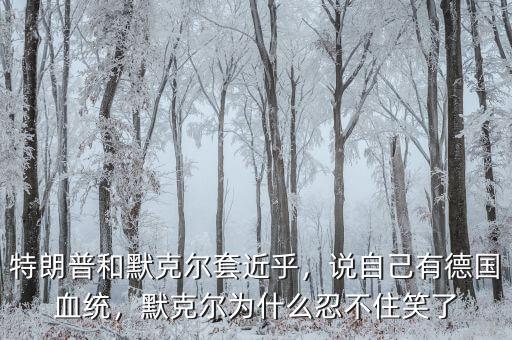 特朗普和默克爾套近乎，說自己有德國(guó)血統(tǒng)，默克爾為什么忍不住笑了