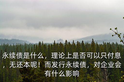 永續(xù)債是什么，理論上是否可以只付息，無(wú)還本呢！而發(fā)行永續(xù)債，對(duì)企業(yè)會(huì)有什么影響
