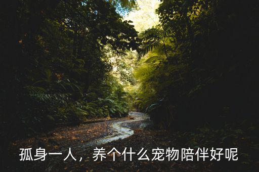孤身一人，養(yǎng)個什么寵物陪伴好呢