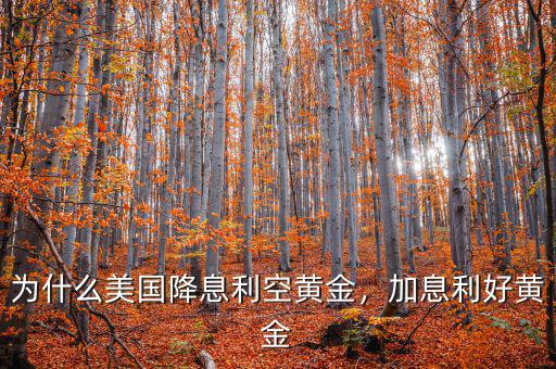 為什么美國(guó)降息利空黃金，加息利好黃金