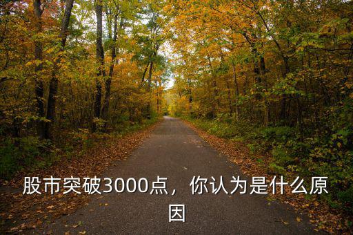 股市突破3000點(diǎn)，你認(rèn)為是什么原因