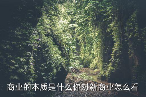 商業(yè)的本質(zhì)是什么你對(duì)新商業(yè)怎么看