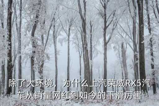 除了大環(huán)境，為什么上汽榮威RX5汽車從銷量網(wǎng)紅到如今的下滑厲害