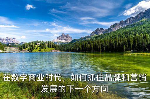 什么是數字商業(yè),2020后數字商業(yè)創(chuàng)客平臺