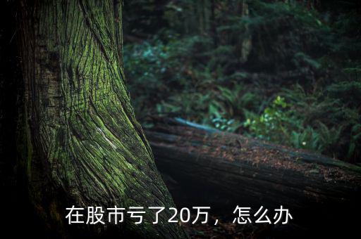在股市虧了20萬，怎么辦