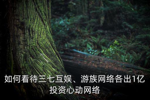 如何看待三七互娛、游族網(wǎng)絡(luò)各出1億投資心動網(wǎng)絡(luò)