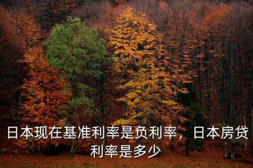 日本現(xiàn)在基準(zhǔn)利率是負(fù)利率，日本房貸利率是多少