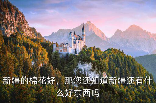 新疆的棉花好，那您還知道新疆還有什么好東西嗎